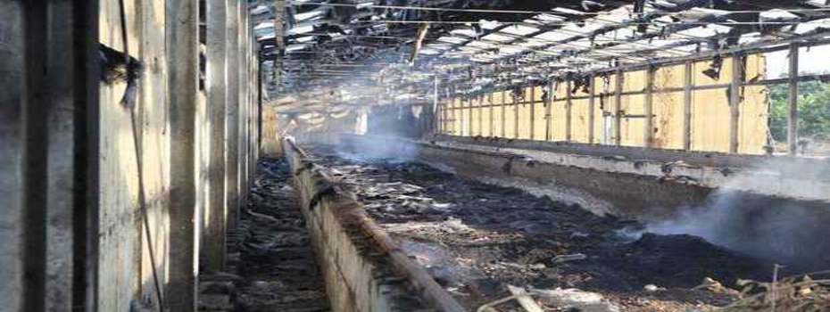 L'Eurocompost distrutta - Foto: IlMattino