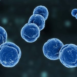 Grumo Nevano, giovane mamma colpita da Meningite di tipo C. Dall’ASL profilassi per tutti i compagni di classe della figlia non vaccinati. Non necessaria la disinfestazione della scuola