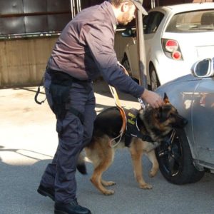 Marcianise, Operazione “Smoke Snake” fase 2. Altri tre arresti per il traffico di eroina dall’Albania. Rifornivano piazze di spaccio a Grumo Nevano, Casandrino, Melito ed Acerra